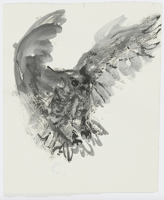 Marlene Dumas | The owl, 2015-2016 | Ink wash and metallic acrylic on paper, 17.5 x 14.6 cm