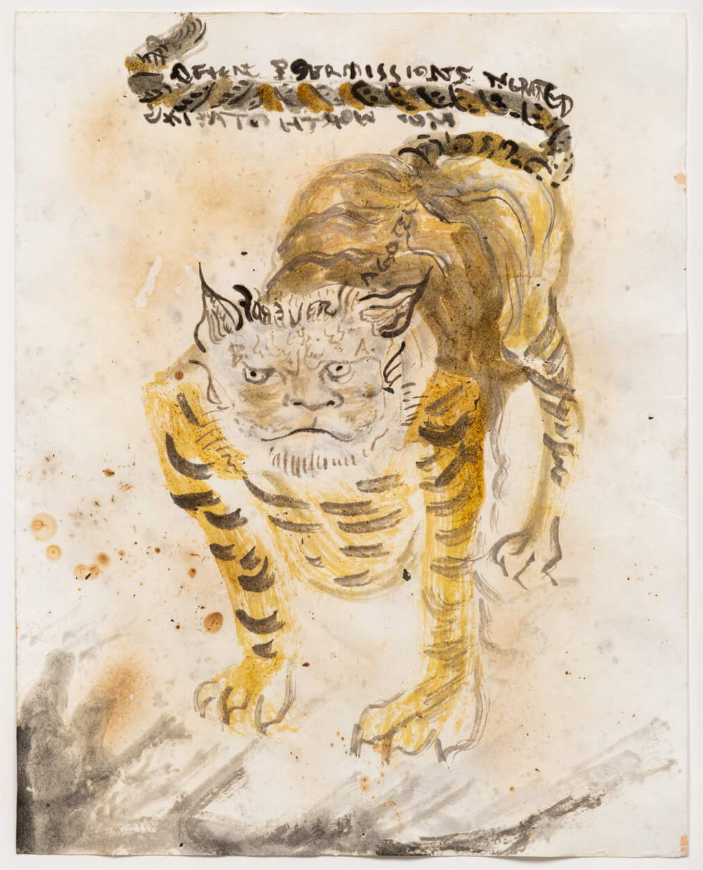 Candice Lin - Strobilanthes cusia, 2022 / Parasitic wasp and oak gall ink and turmeric on cotton rag blotting paper with plant remnants - contemporary drawing, drawings, work on paper, art on paper