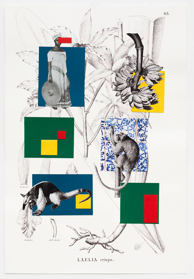 Rosana Paulino | A geometria à brasileira chega ao paraíso tropical, 2022 | digital print, collage and monotype on paper, 48 × 33 cm