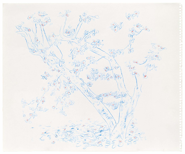 drawing Bill Lynch - No title, n.d. / Conté on paper - contemporary drawing, drawings, work on paper, art on paper