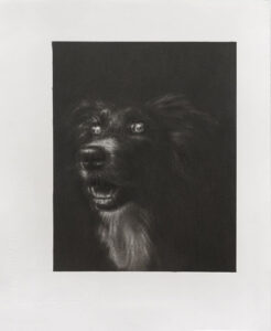 David Haines Surfaces (Dogs) II, 2023 Graphite on paper 31,5 x 27,5 cm