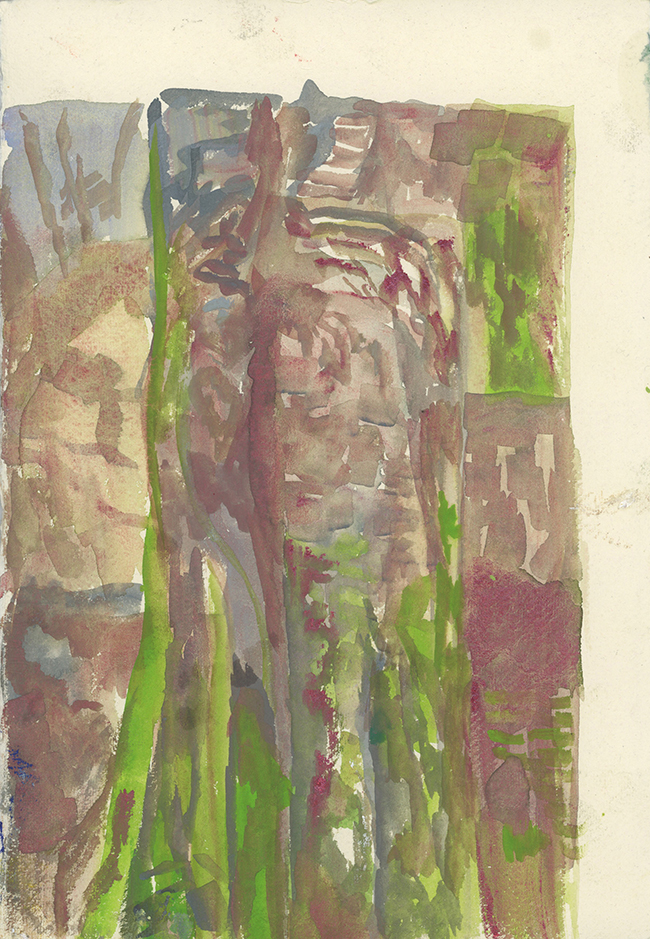 Francesca Mollett note on lichen, 2023 Watercolour on paper 30.2 x 21.3 cm contemporary drawing, art on paper, drawing
