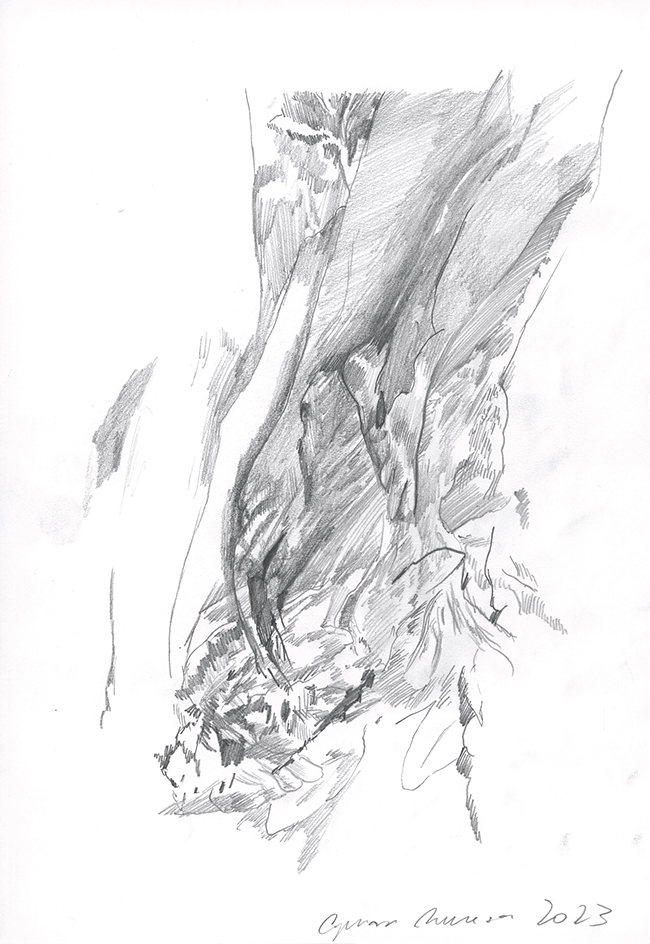 Ciprian Mureşan Studies After Bernini, 2023 Pencil on paper 29.7 x 20.4 cm