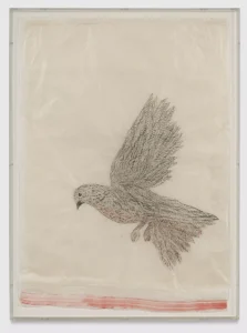 drawing by Kiki Smith. Kiki Smith - Shadow Drawing October